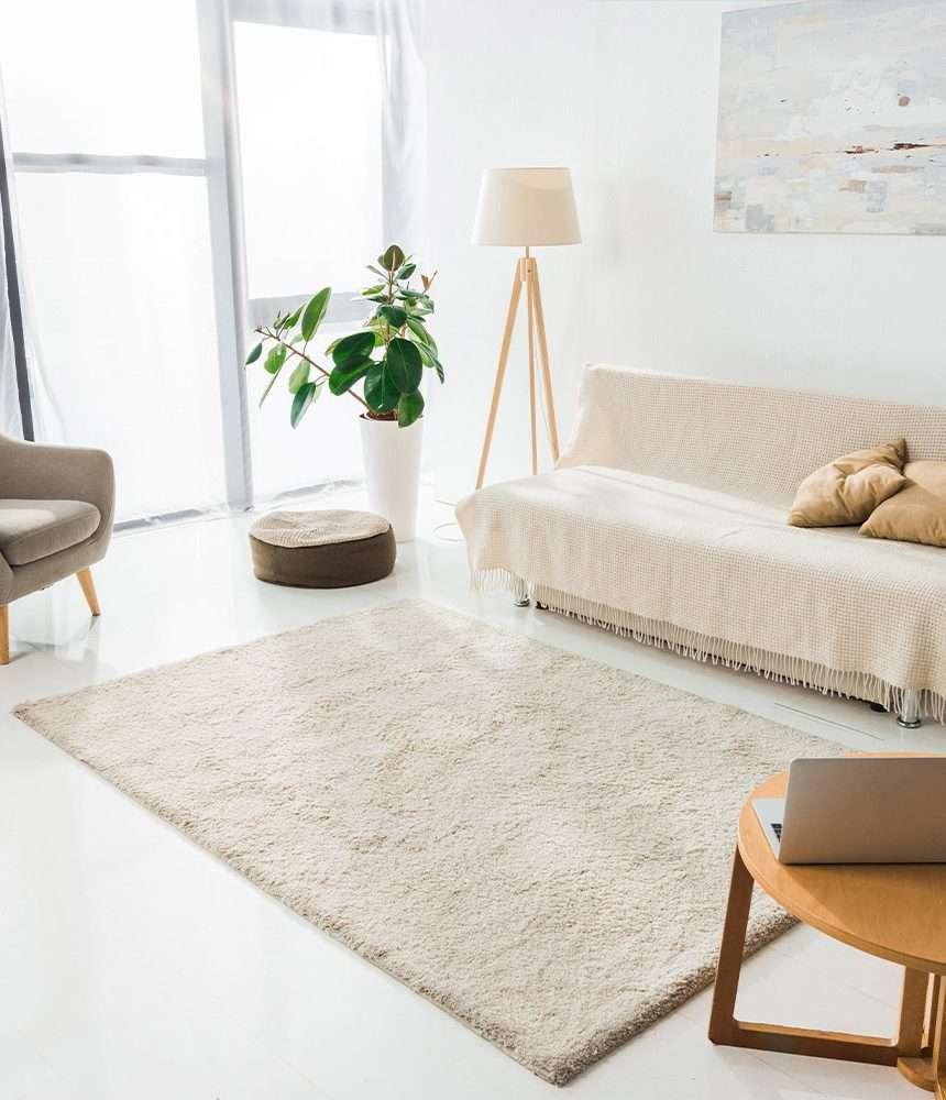 Area rug cleaning Orlando
