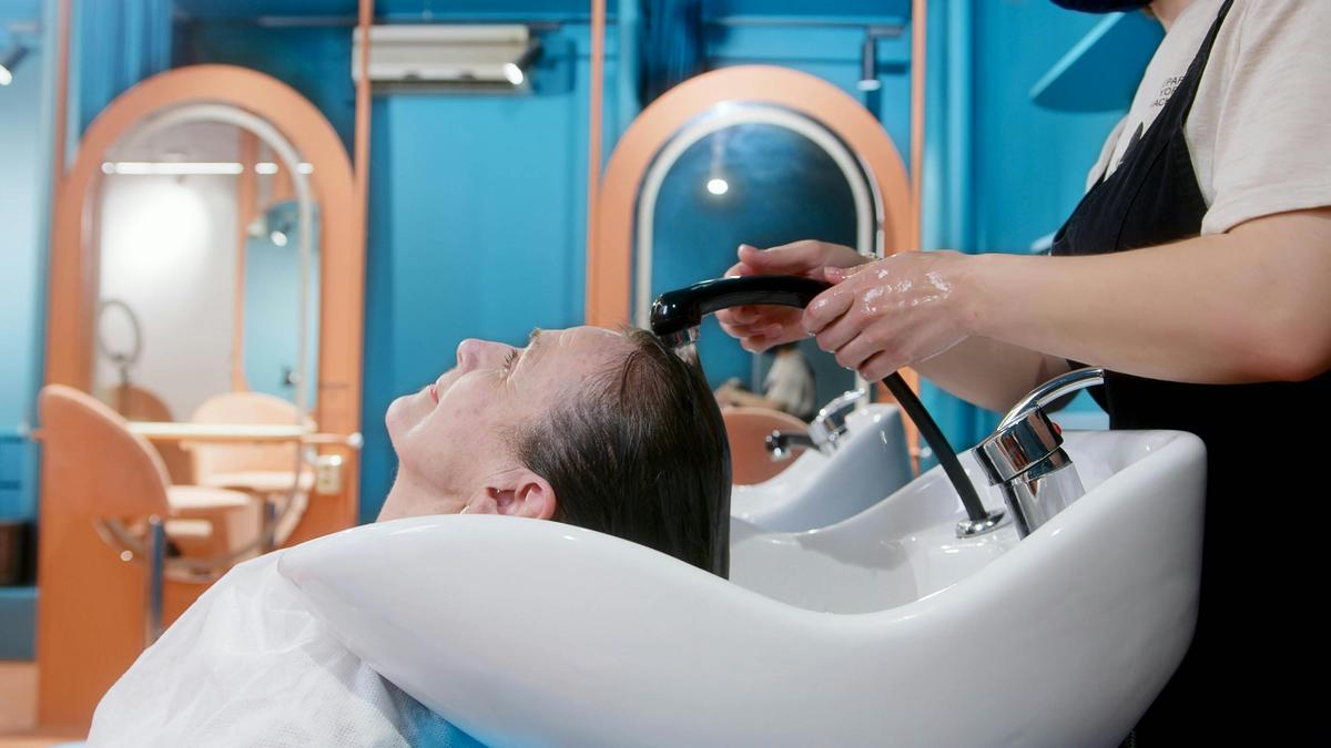 De-Shedding treatment Miami
